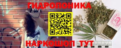 шишки Берёзовский