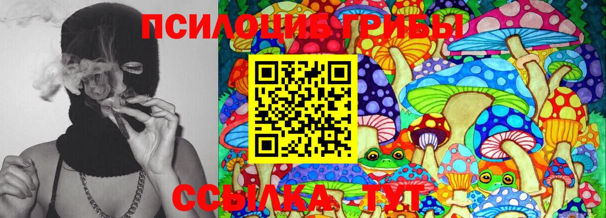 Псилоцибиновые грибы MAGIC MUSHROOMS Ижевск
